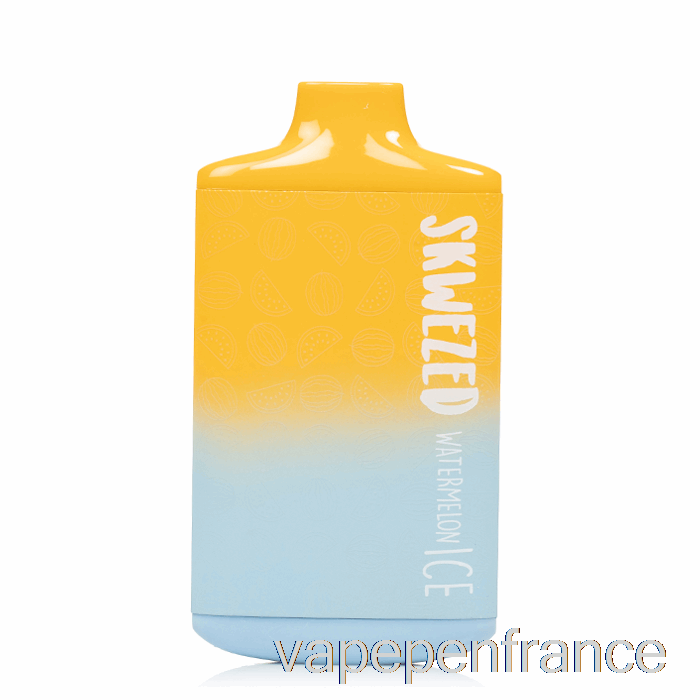 Stylo Jetable De Vape De Glace De Pastèque De Skwezed 5k
